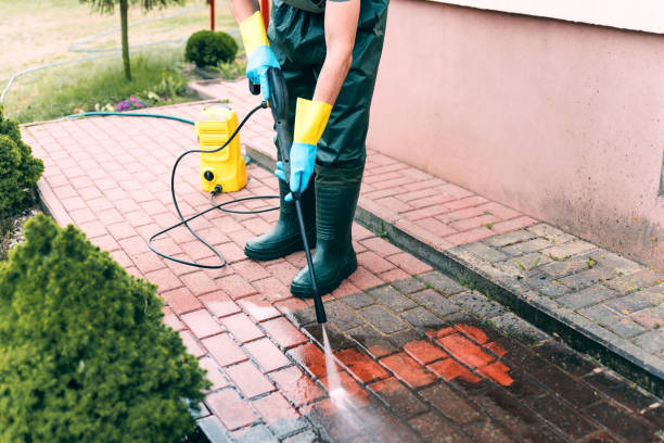 Best Gutter Cleaning  in King Cove, AK