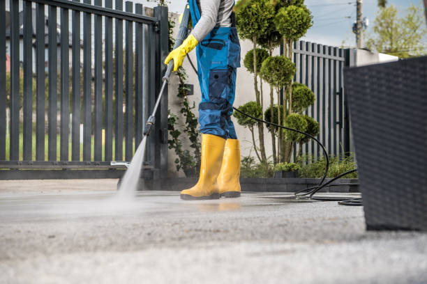 Professional Pressure Washing in King Cove, AK